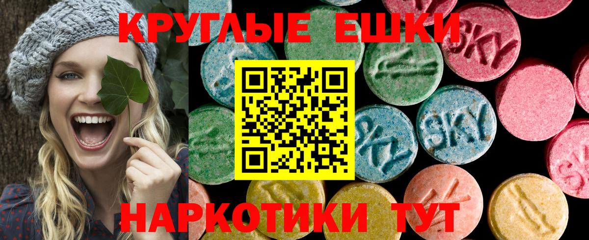 ЭКСТАЗИ бентли Обь
