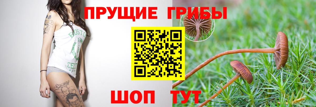 Галлюциногенные грибы мицелий Обь